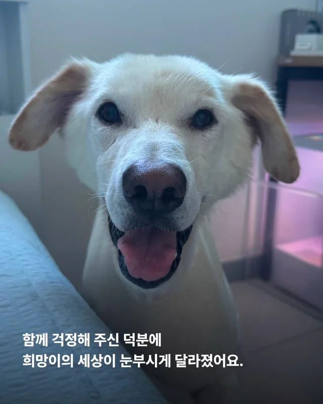희망아 요즘 어때? 현장 사진