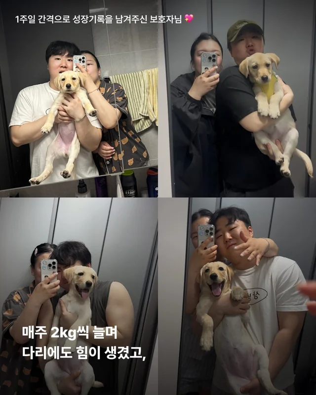 생존률 20% 퍼피 현장 사진