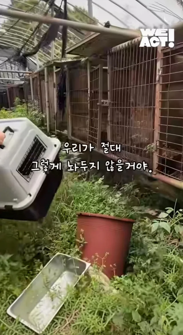 우리는 커서 개고기가 될 거에요! 현장 사진