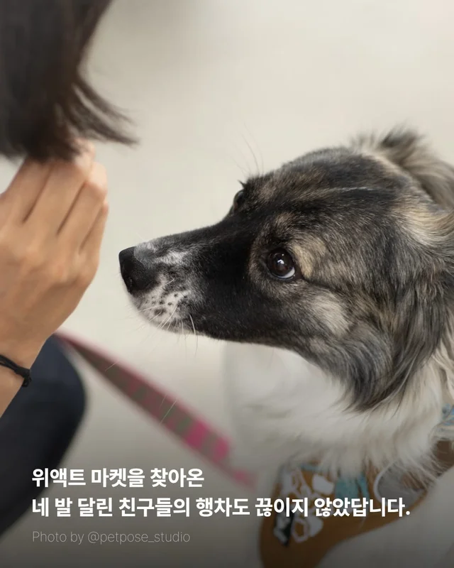 위액트 마켓 막을 내립니다 현장 사진