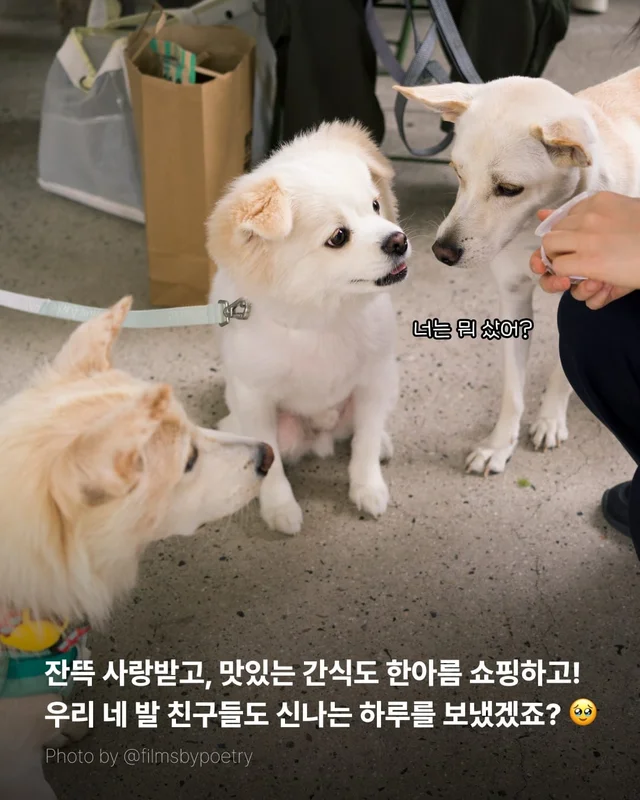 위액트 마켓 막을 내립니다 현장 사진