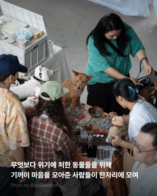 위액트 마켓 막을 내립니다 현장 사진