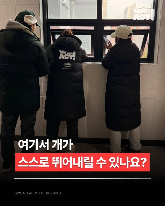 2층에서 던져진 개 현장 사진