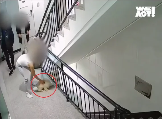 2층에서 던져진 개 현장 사진