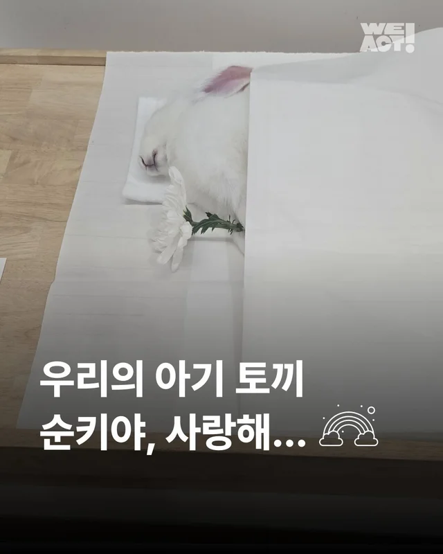 순키 장례식 현장 사진