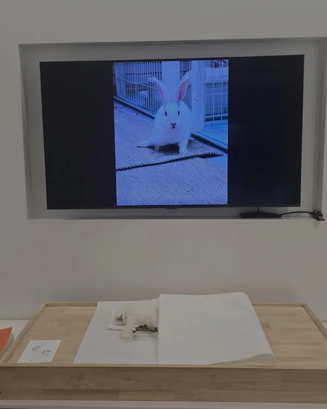 순키 장례식 현장 사진